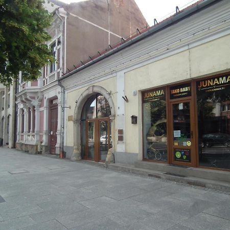 Apartament Bbb48 Cluj Napoca Bagian luar foto
