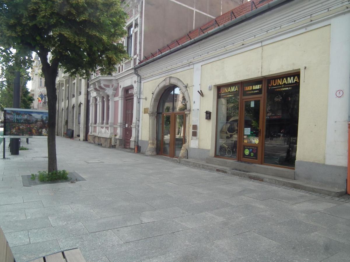 Apartament Bbb48 Cluj Napoca Bagian luar foto