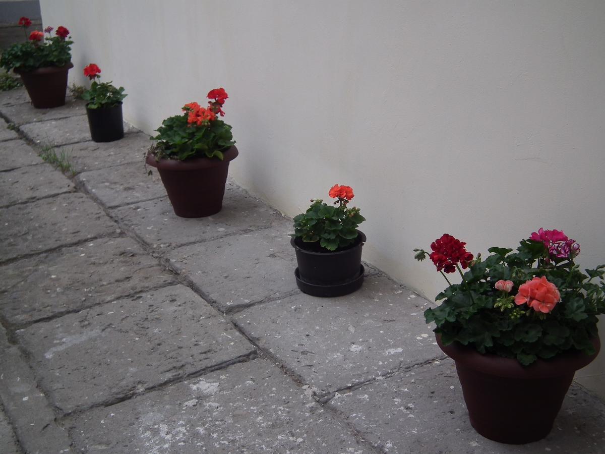 Apartament Bbb48 Cluj Napoca Bagian luar foto